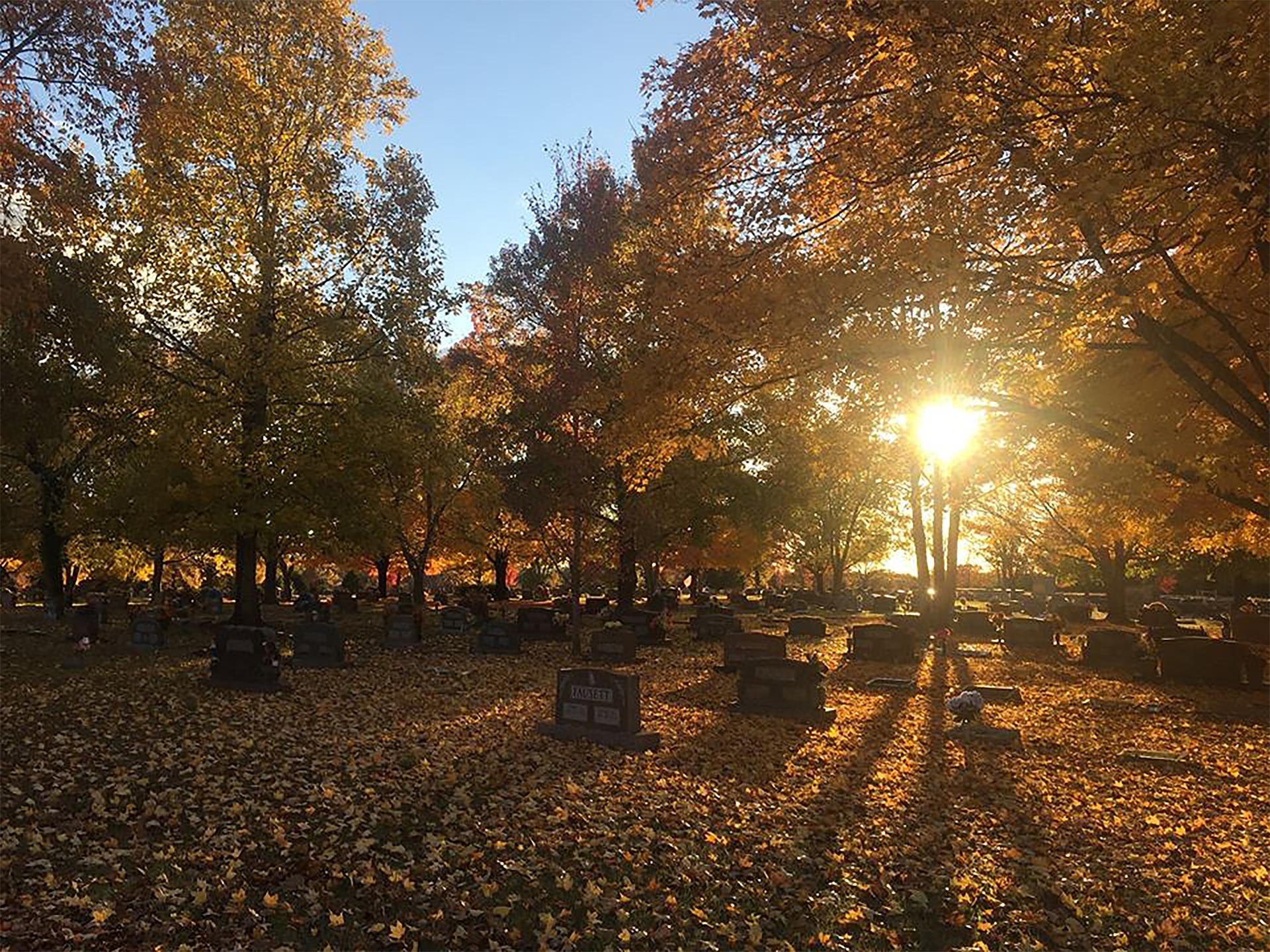 Read more about the article The Cemetery