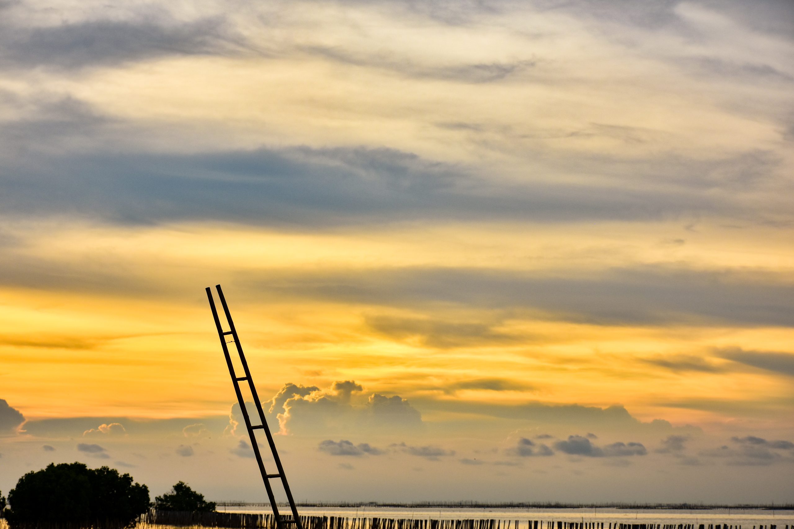 Read more about the article My Philosophy