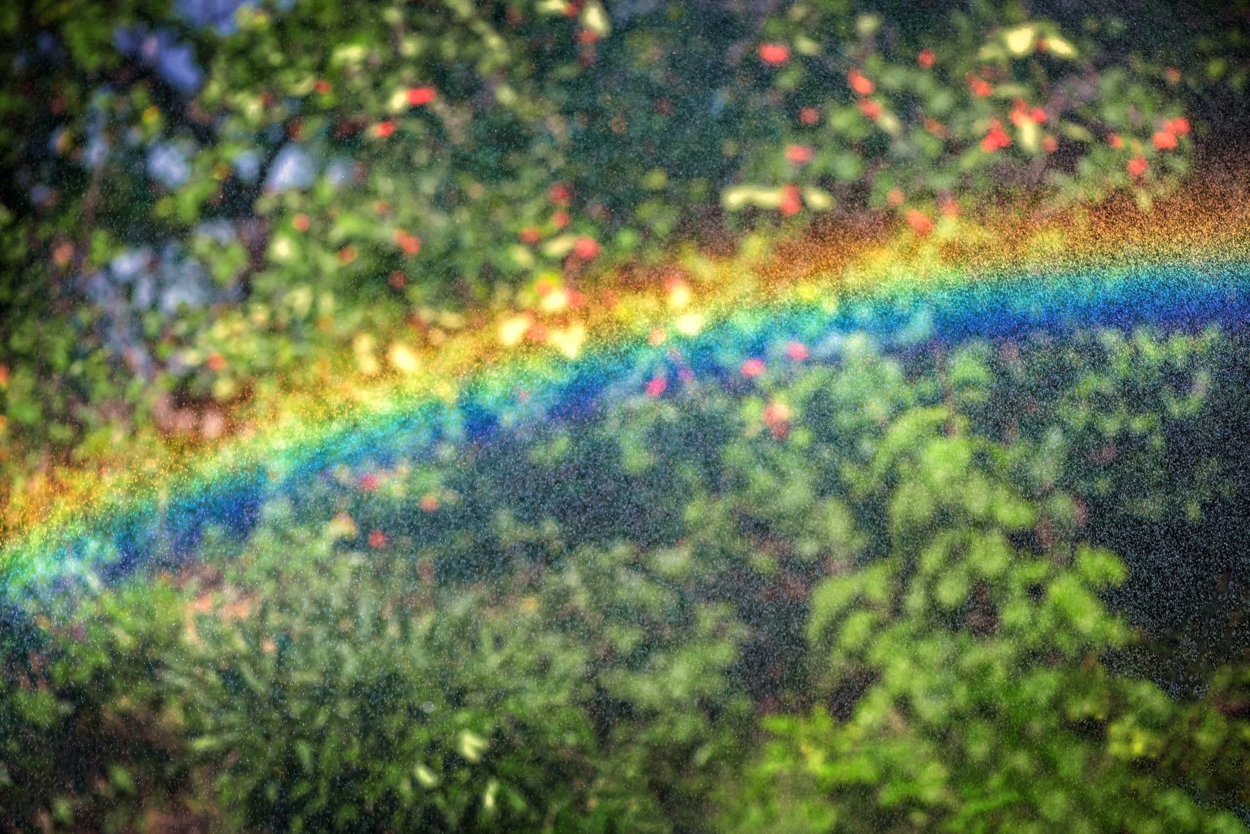 Read more about the article The Seeds of Life