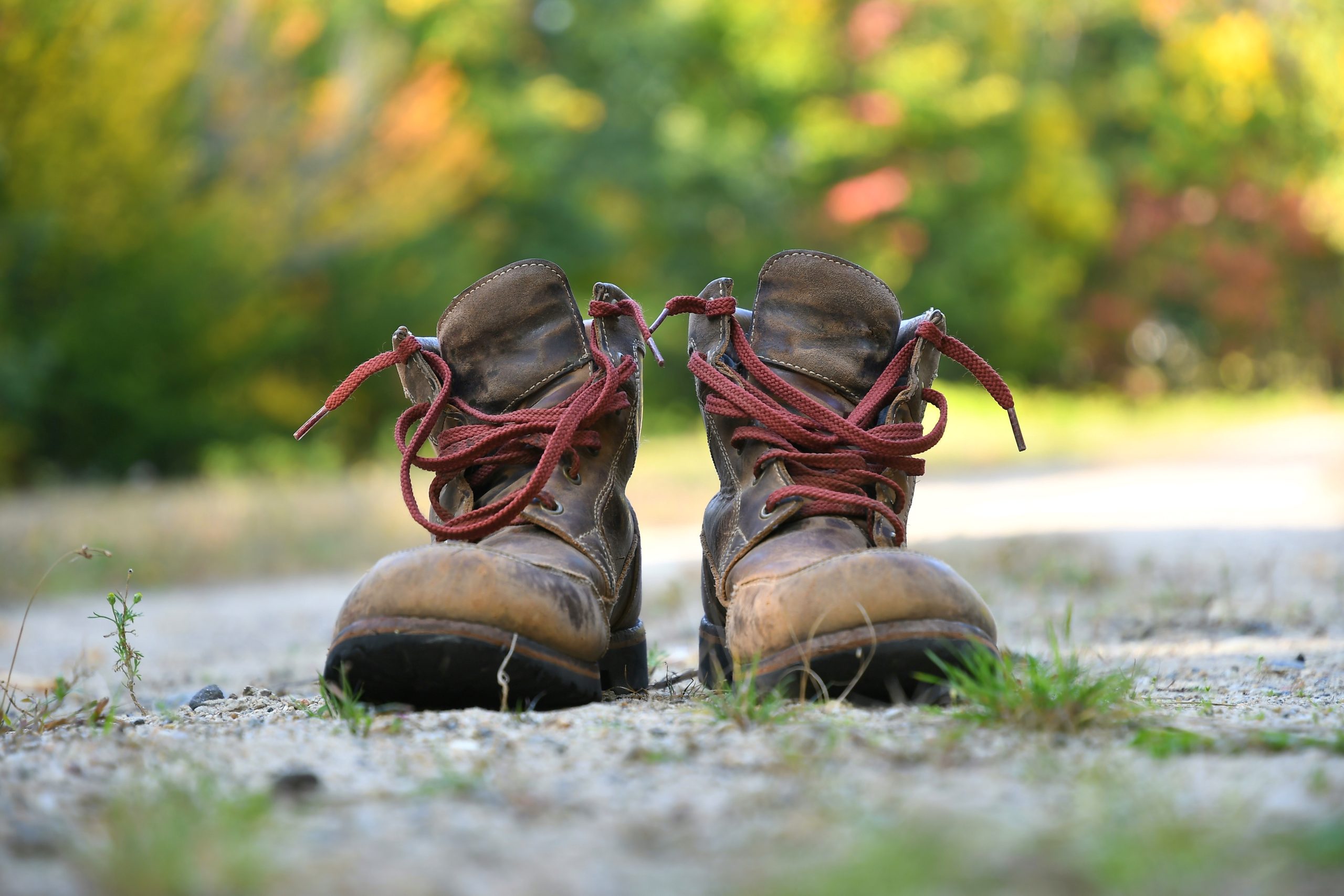 Read more about the article Boots