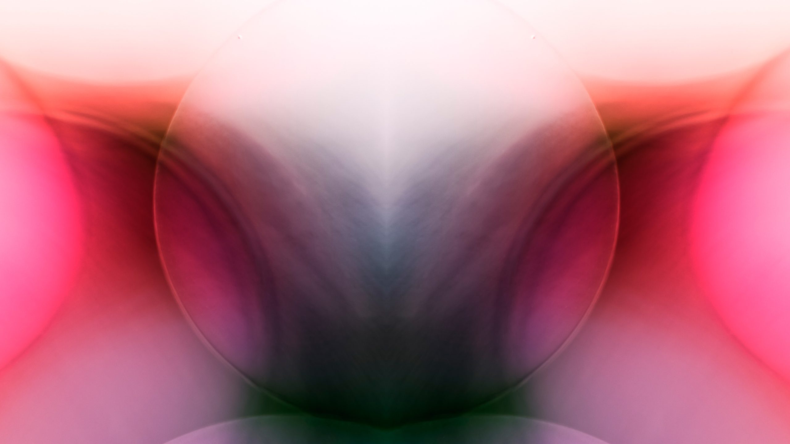 Read more about the article The Other Side