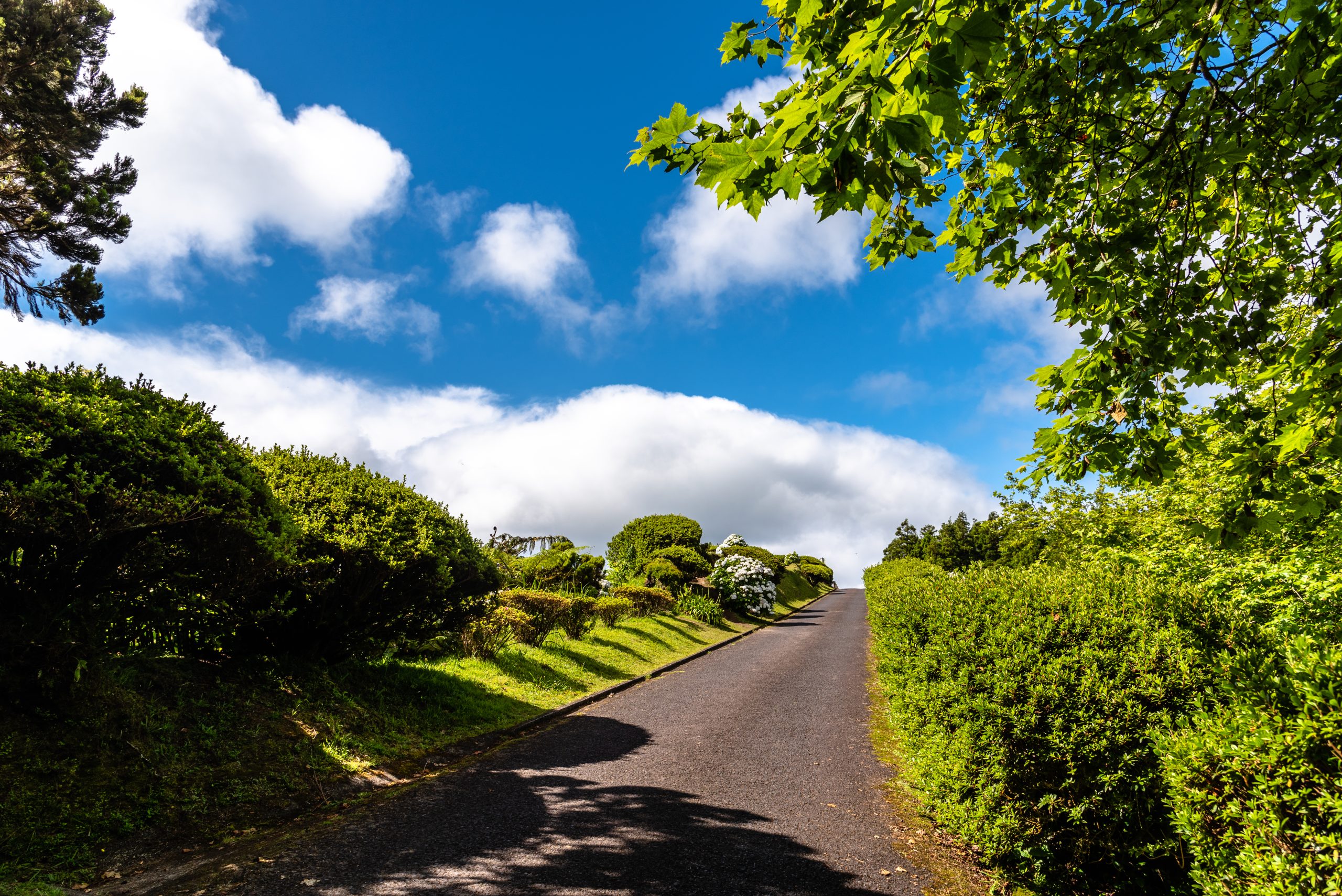 Read more about the article It’s a Beautiful Day