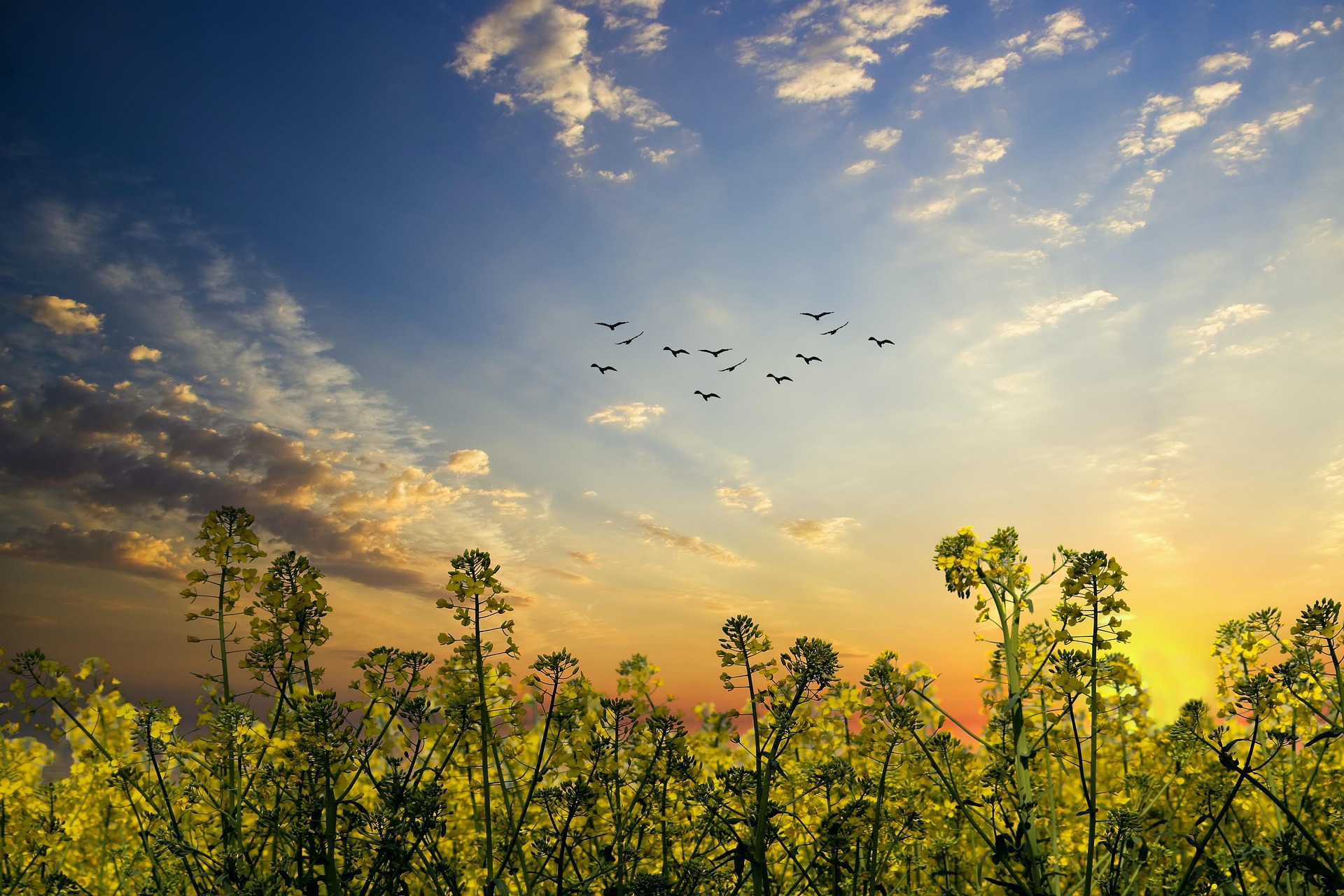 Read more about the article Blue is the Warmest Colour