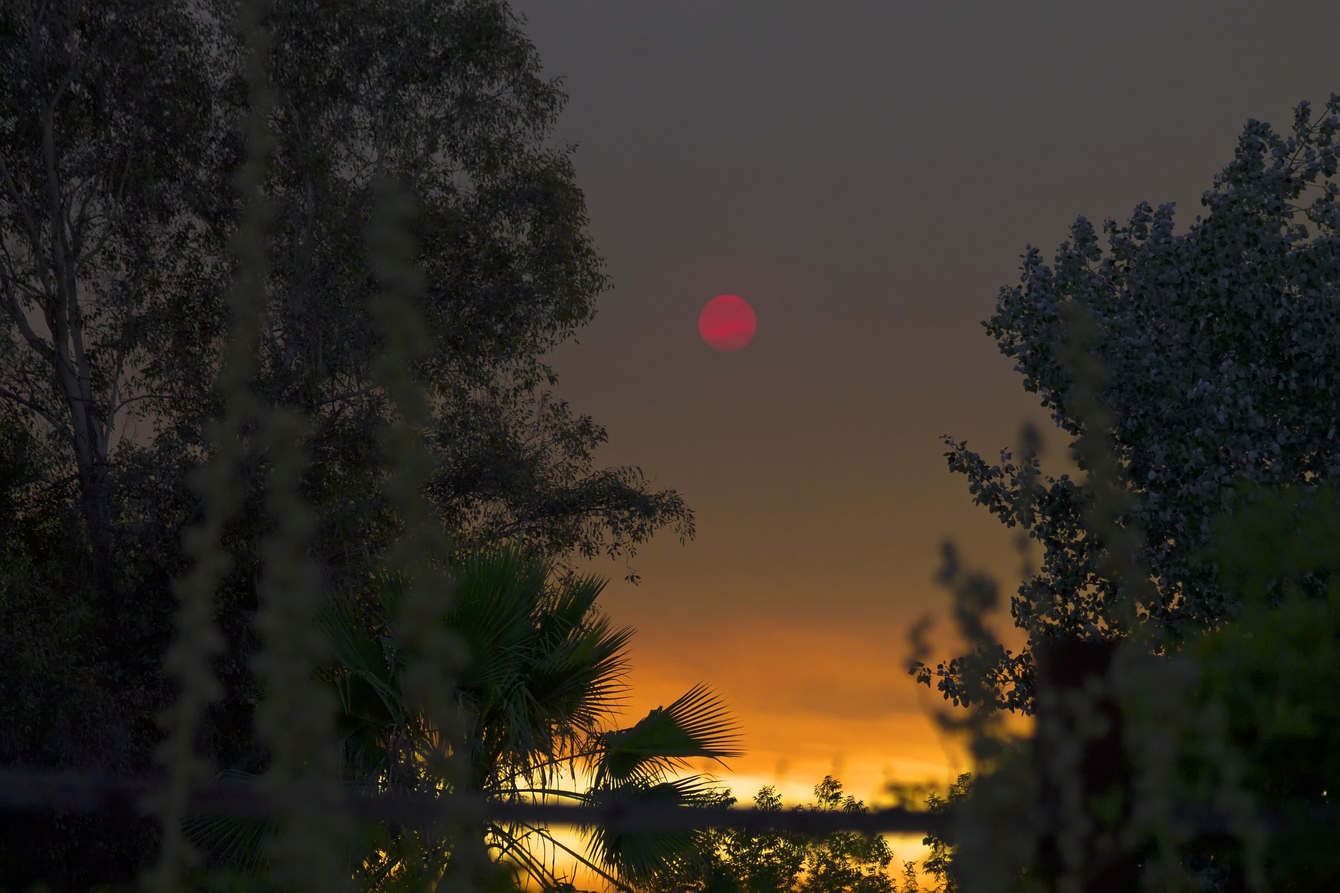 Read more about the article Blood Red Moon