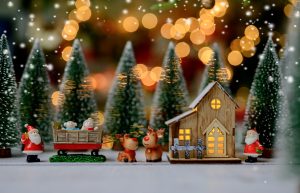 Operation Christmas Bypass